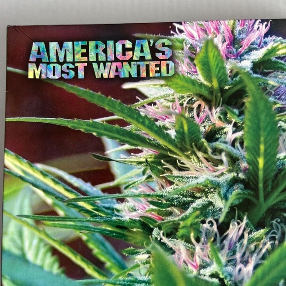 NWT 1000 Pieces Puzzle Cannabis Americas Most Wanted - Picture 3 of 8